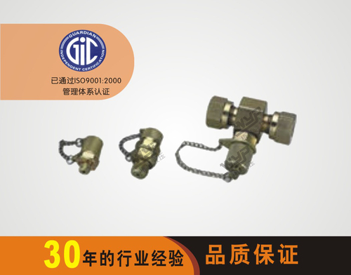 PT PRESSURE TESTING ADAPTER SERIES