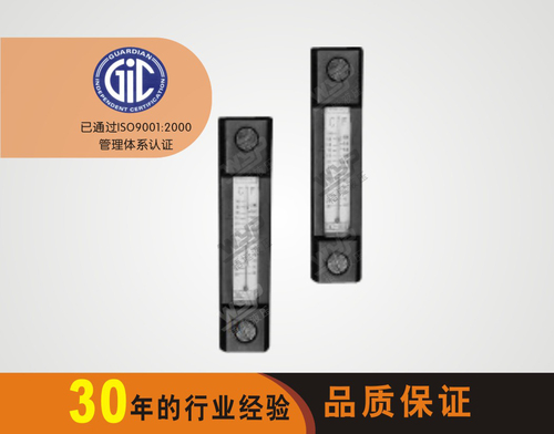 NYWZ LEVEL GAUGE SERIES